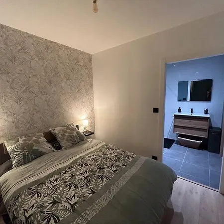 Apartment Cosy Hyper Centre / Vosges *
