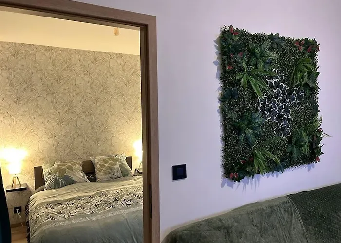 Apartmán Cosy Hyper Centre / Vosges Remiremont