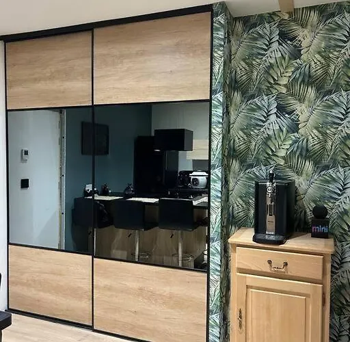 Cosy Hyper Centre / Vosges Remiremont