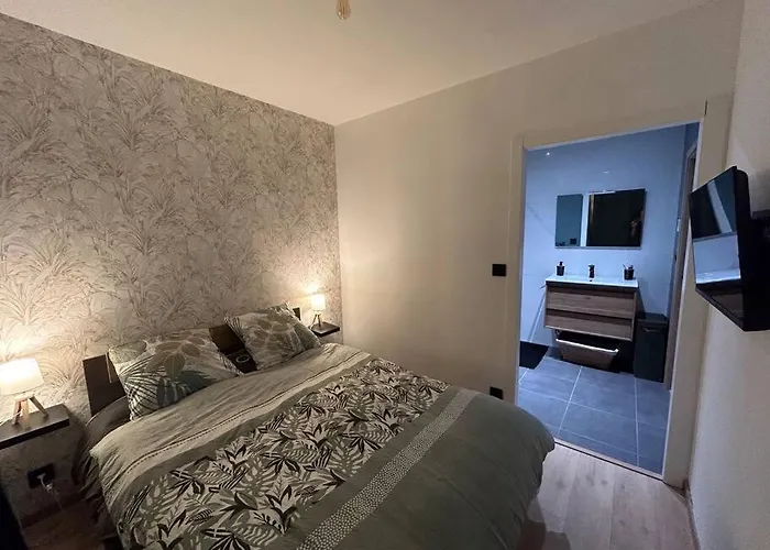 Apartmán Cosy Hyper Centre / Vosges *